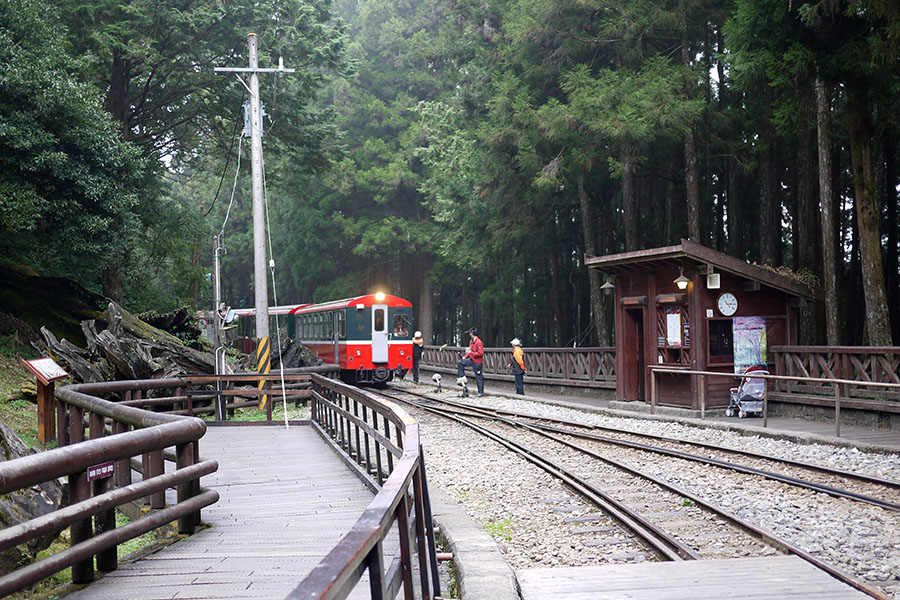 Taiwan: Day 1 Arrival & Alishan&nbsp;Forest