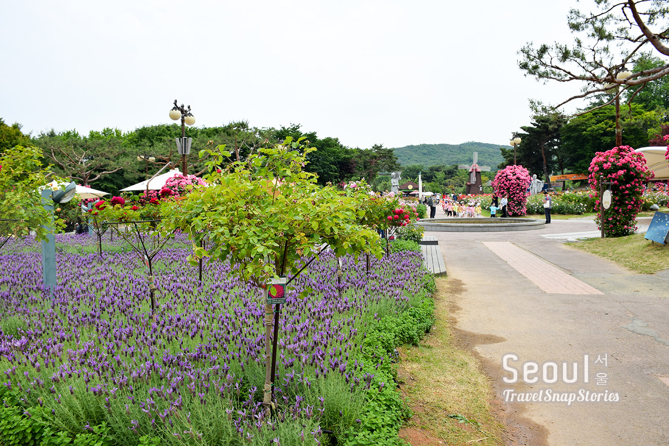TSSSeoul_21ThemeGarden09