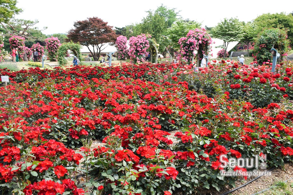 Seoul: Day 2 Seoul Grand Park Part 1 – Theme&nbsp;Garden