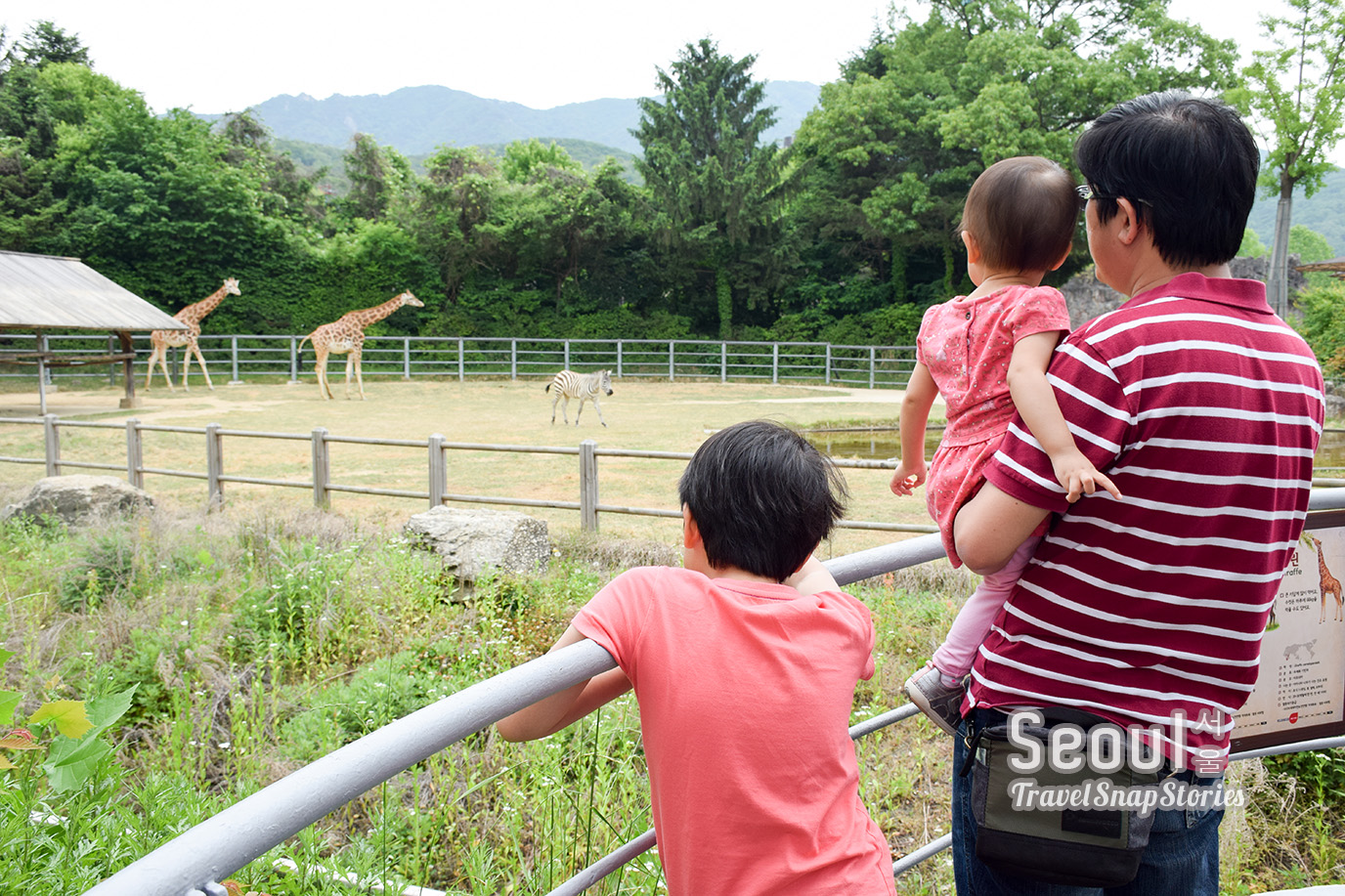 TSSSeoulDay2_SeoulZoo05