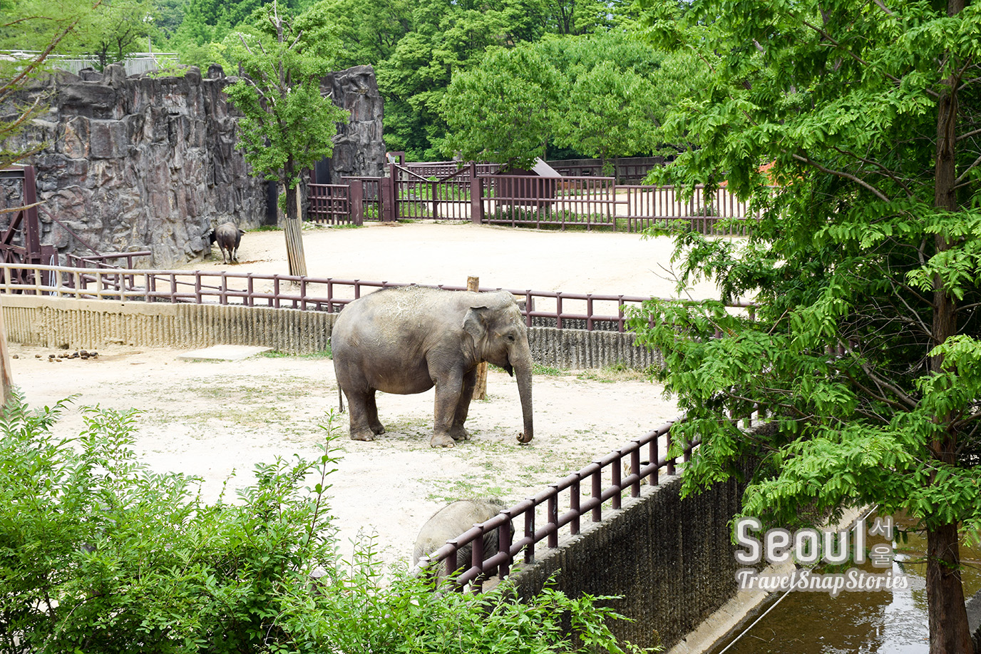 TSSSeoulDay2_SeoulZoo11