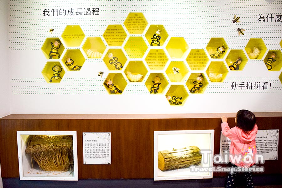 yilan bee museum information board