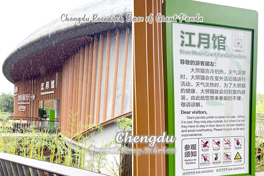 where panda stay in villa