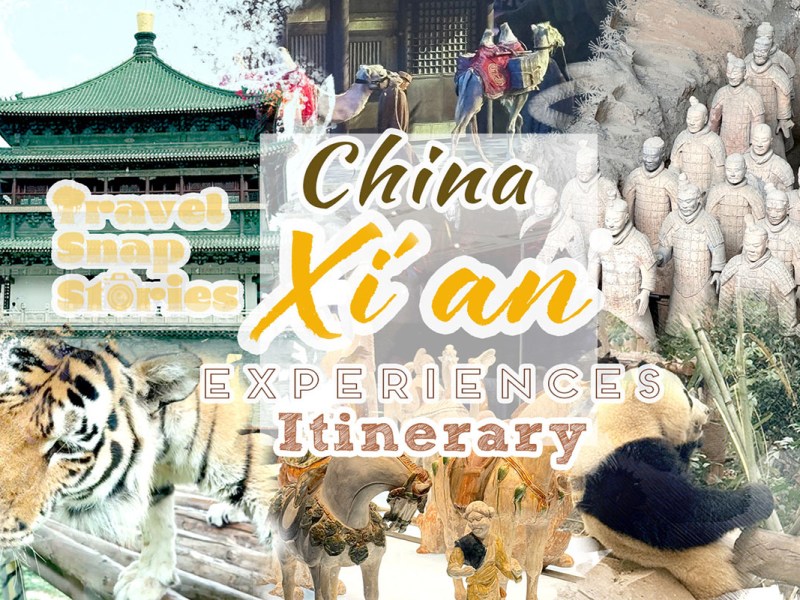 6-Day China Itinerary: Xi’an |&nbsp;Chengdu